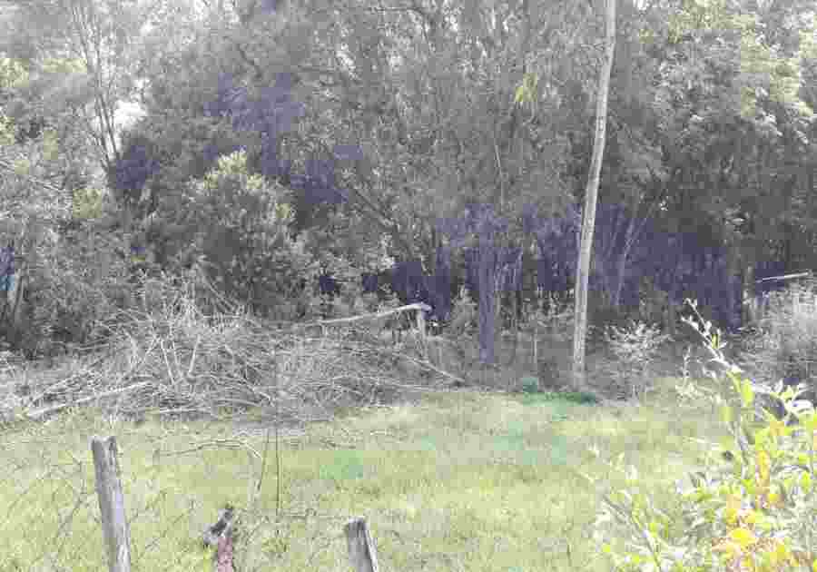Foto do imovel Terreno a Venda